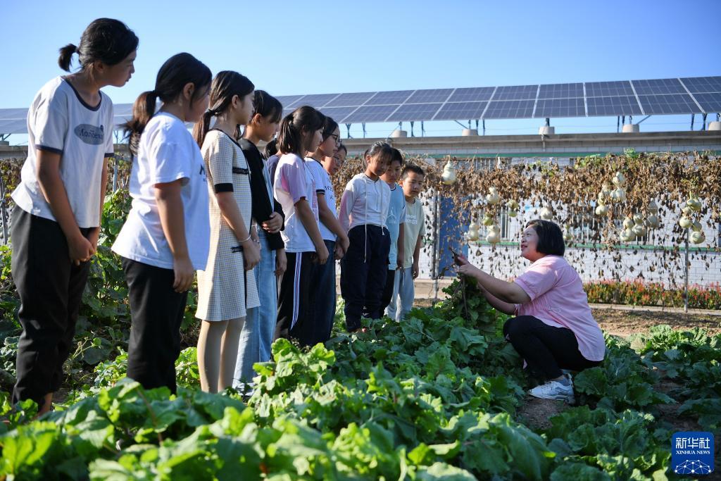 开元官方手机版下载安装